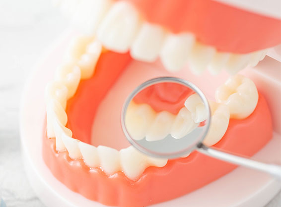 口腔内全体の健康を第一に考えること