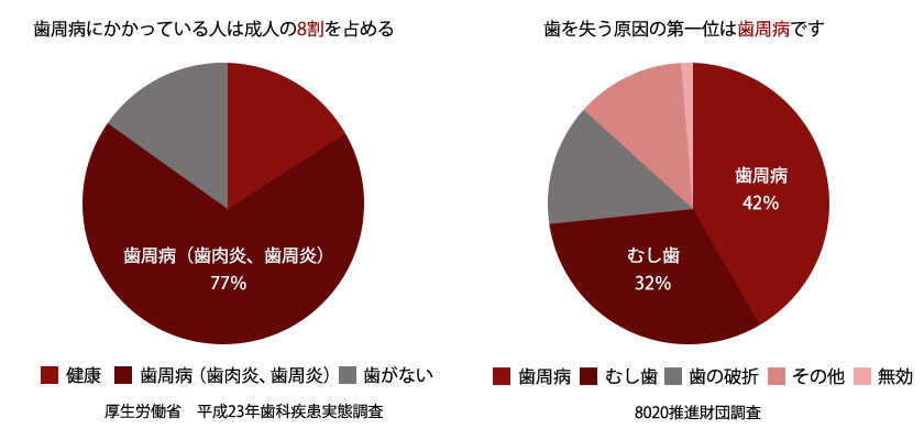 歯周病の割合グラフ